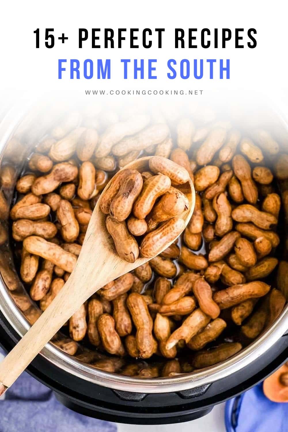 Instant Pot Boiled Peanuts