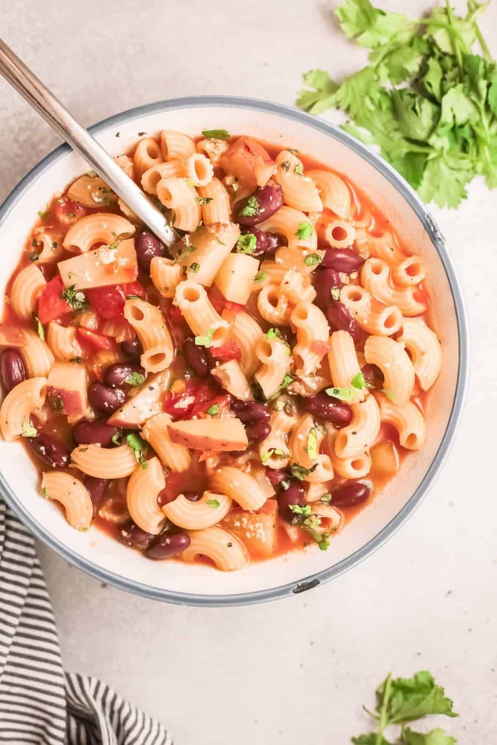 Instant Pot Minestrone Soup